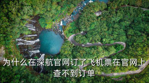 為什么在深航官網訂了飛機票在官網上查不到訂單