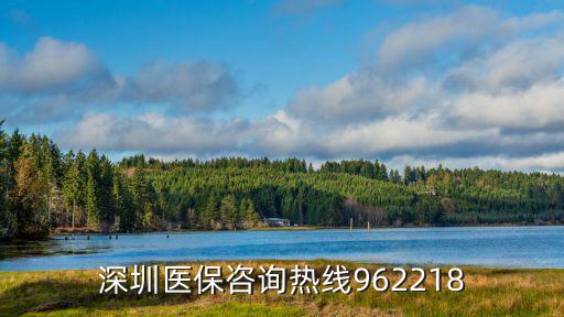 深圳醫保咨詢熱線962218