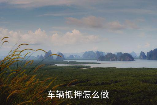 車輛抵押怎么做