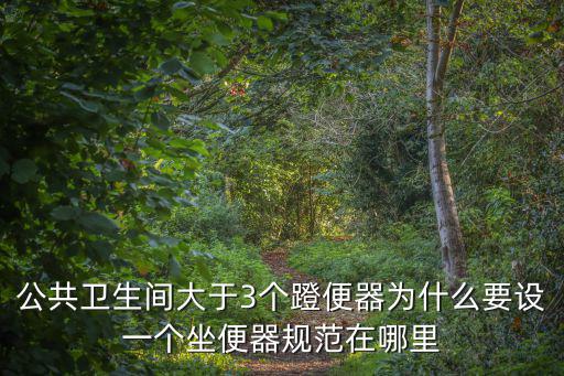 公共衛生間大于3個蹬便器為什么要設一個坐便器規范在哪里