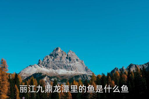 麗江九鼎龍潭里的魚是什么魚