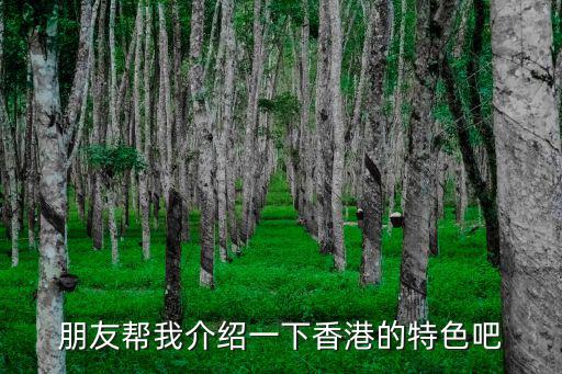 朋友幫我介紹一下香港的特色吧