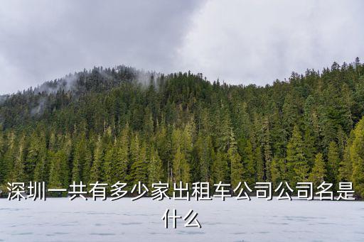 深圳一共有多少家出租車公司公司名是什么