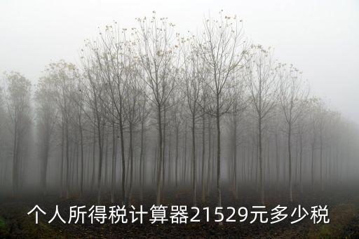 個人所得稅計算器21529元多少稅