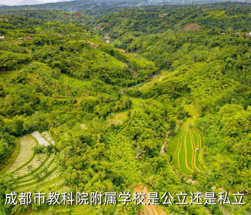 成都市教科院附屬學校是公立還是私立