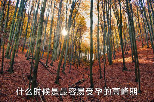 什么時候是最容易受孕的高峰期