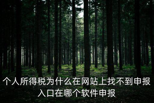 個人所得稅為什么在網(wǎng)站上找不到申報入口在哪個軟件申報