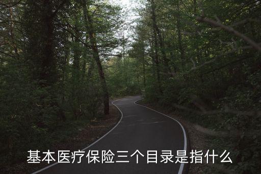 基本醫(yī)療保險三個目錄是指什么