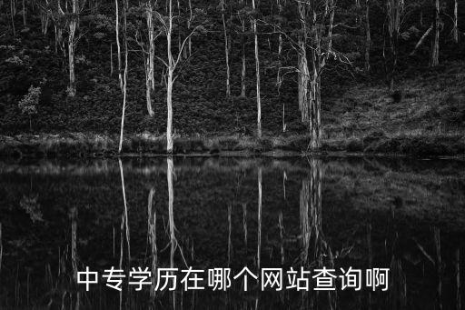 查詢學(xué)歷網(wǎng)站，中專學(xué)歷在哪個(gè)網(wǎng)站查詢啊