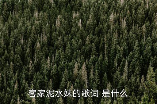 客家泥水妹的歌詞 是什么