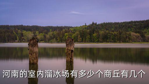 室內溜冰場，河南的室內溜冰場有多少個商丘有幾個