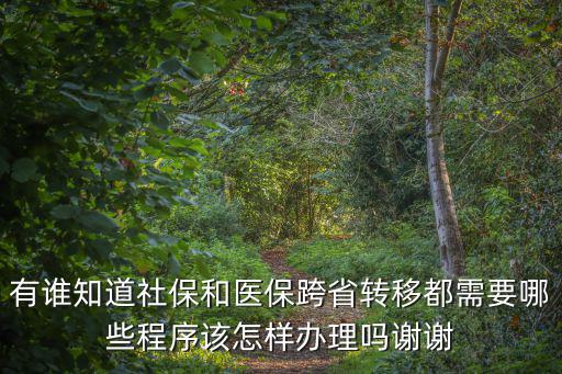 有誰知道社保和醫(yī)保跨省轉(zhuǎn)移都需要哪些程序該怎樣辦理嗎謝謝
