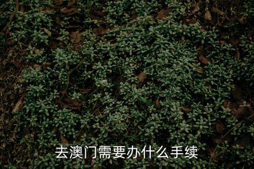 去澳門需要辦什么手續(xù)