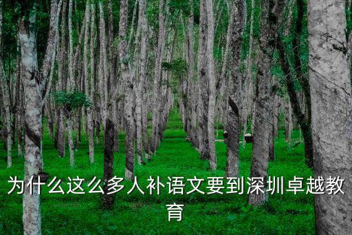 為什么這么多人補語文要到深圳卓越教育