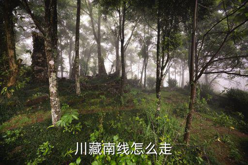 川藏南線，走川藏南線一般幾天可以到拉薩