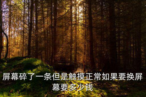 屏幕碎了一條但是觸摸正常如果要換屏幕要多少錢