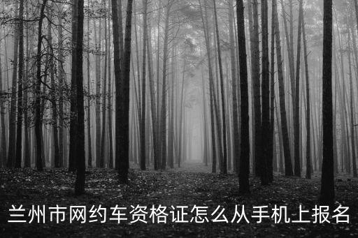 蘭州市網(wǎng)約車資格證怎么從手機上報名