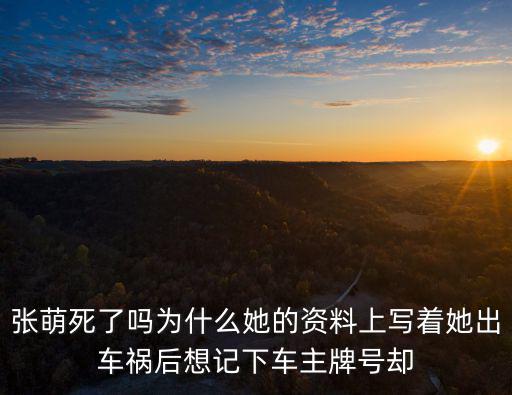 張萌死了嗎為什么她的資料上寫著她出車禍后想記下車主牌號卻