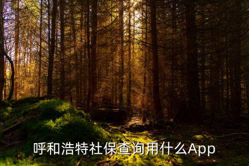 個人社保查詢app，呼和浩特社保查詢用什么App