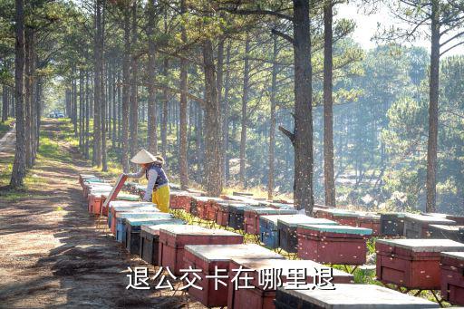 退公交卡在哪里退