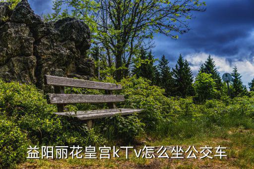 益陽(yáng)麗花皇宮k丅v怎么坐公交車(chē)