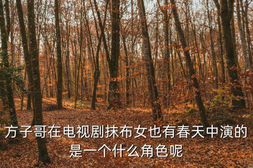 方子哥在電視劇抹布女也有春天中演的是一個什么角色呢