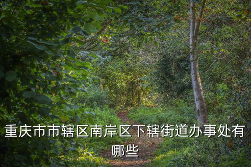 重慶市市轄區南岸區下轄街道辦事處有哪些