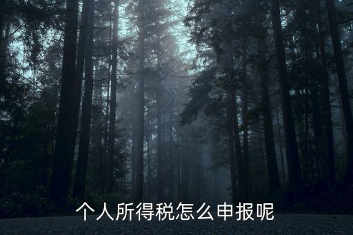 個人所得稅怎么申報呢