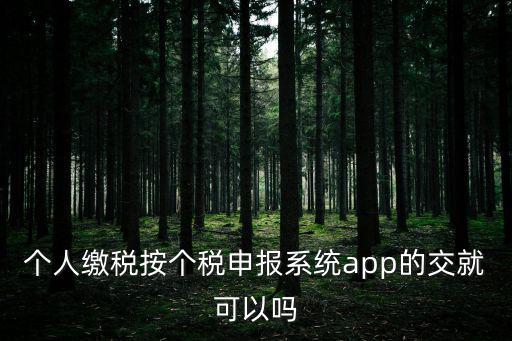 個(gè)人繳稅按個(gè)稅申報(bào)系統(tǒng)app的交就可以嗎