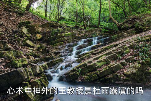 杜雨露，心術中神外的王教授是杜雨露演的嗎