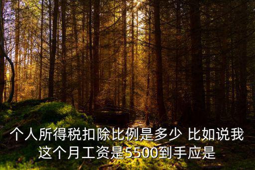 個人所得稅比例，個人所得稅扣除比例是多少 比如說我這個月工資是5500到手應是