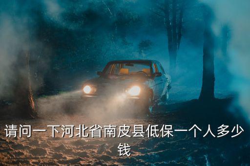 請問一下河北省南皮縣低保一個人多少錢