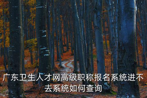 人才衛(wèi)生網，中國人才衛(wèi)生網準考證打印