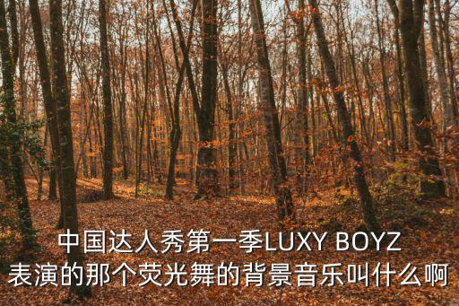中國達人秀第一季LUXY BOYZ表演的那個熒光舞的背景音樂叫什么啊