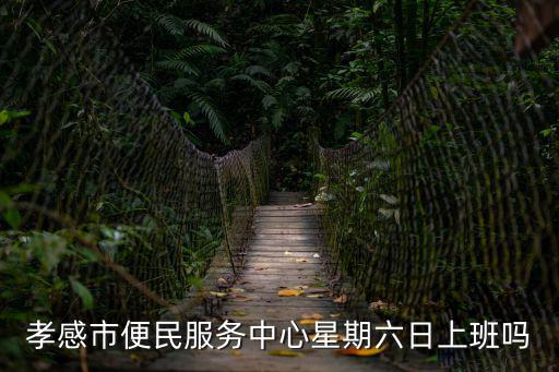 便民服務中心上班時間，孝感市便民服務中心星期六日上班嗎
