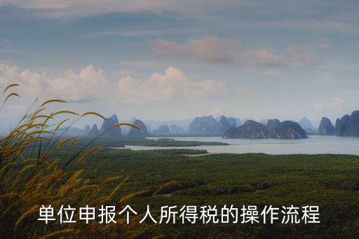 個人所得稅申報操作流程，求公司幫員工申報個人所得稅的流程以及如何申報謝謝各位大蝦