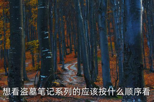 想看盜墓筆記系列的應(yīng)該按什么順序看