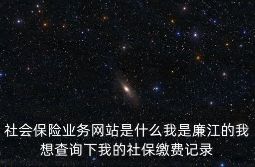 社會保險業務網站，云南社保網工齡43年激費19年今年9月到退休能拿多少養金
