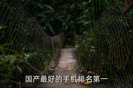 國產最好的手機排名第一
