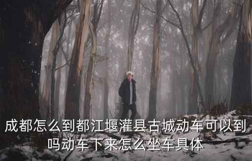 成都怎么到都江堰灌縣古城動車可以到嗎動車下來怎么坐車具體