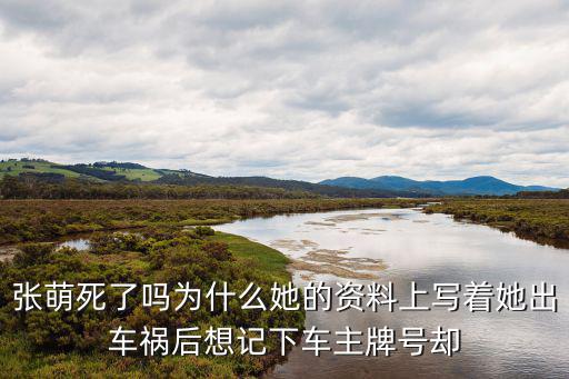 張萌個人資料，張萌是哪的人