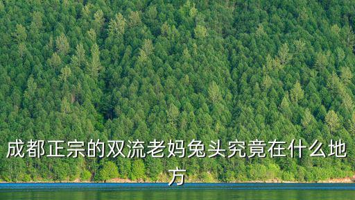 成都兔頭，成都正宗的雙流老媽兔頭究竟在什么地方