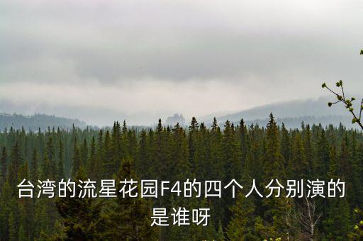臺(tái)灣的流星花園F4的四個(gè)人分別演的是誰呀