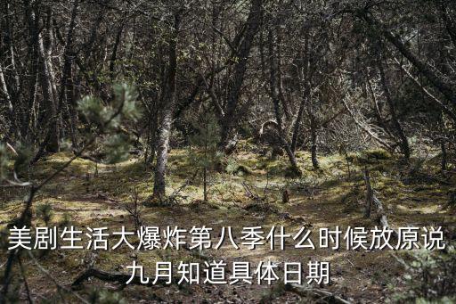生活大爆炸第八季，為什么生活大爆炸第八季會受到延播里面也沒有什么不良影像而閃