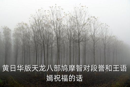 王語嫣鳩摩智，黃日華版天龍八部鳩摩智對段譽和王語嫣祝福的話