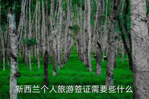 新西蘭個人旅游簽證需要些什么