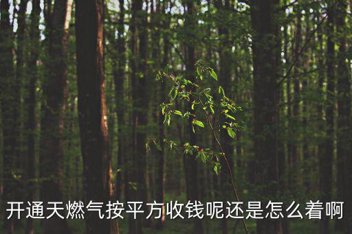 開通天燃?xì)獍雌椒绞斟X呢還是怎么著啊