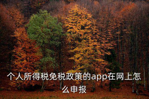 個(gè)人所得稅免稅政策的app在網(wǎng)上怎么申報(bào)
