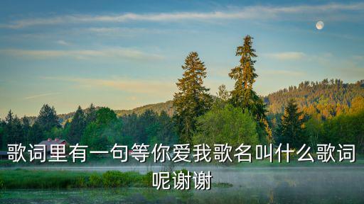 歌詞里有一句等你愛我歌名叫什么歌詞呢謝謝