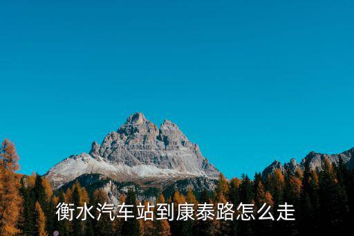衡水汽車站到康泰路怎么走